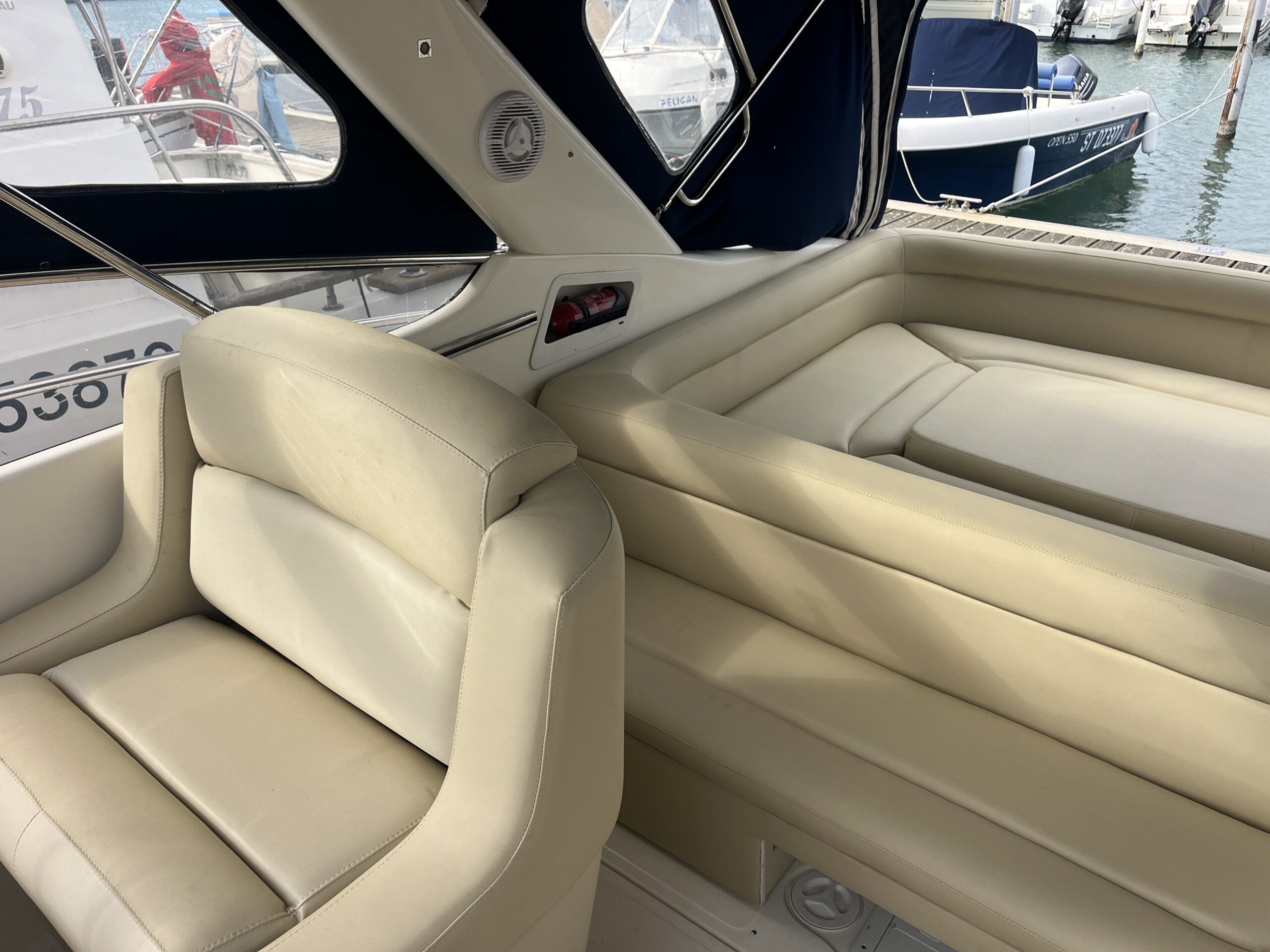 sellerie marine carnon