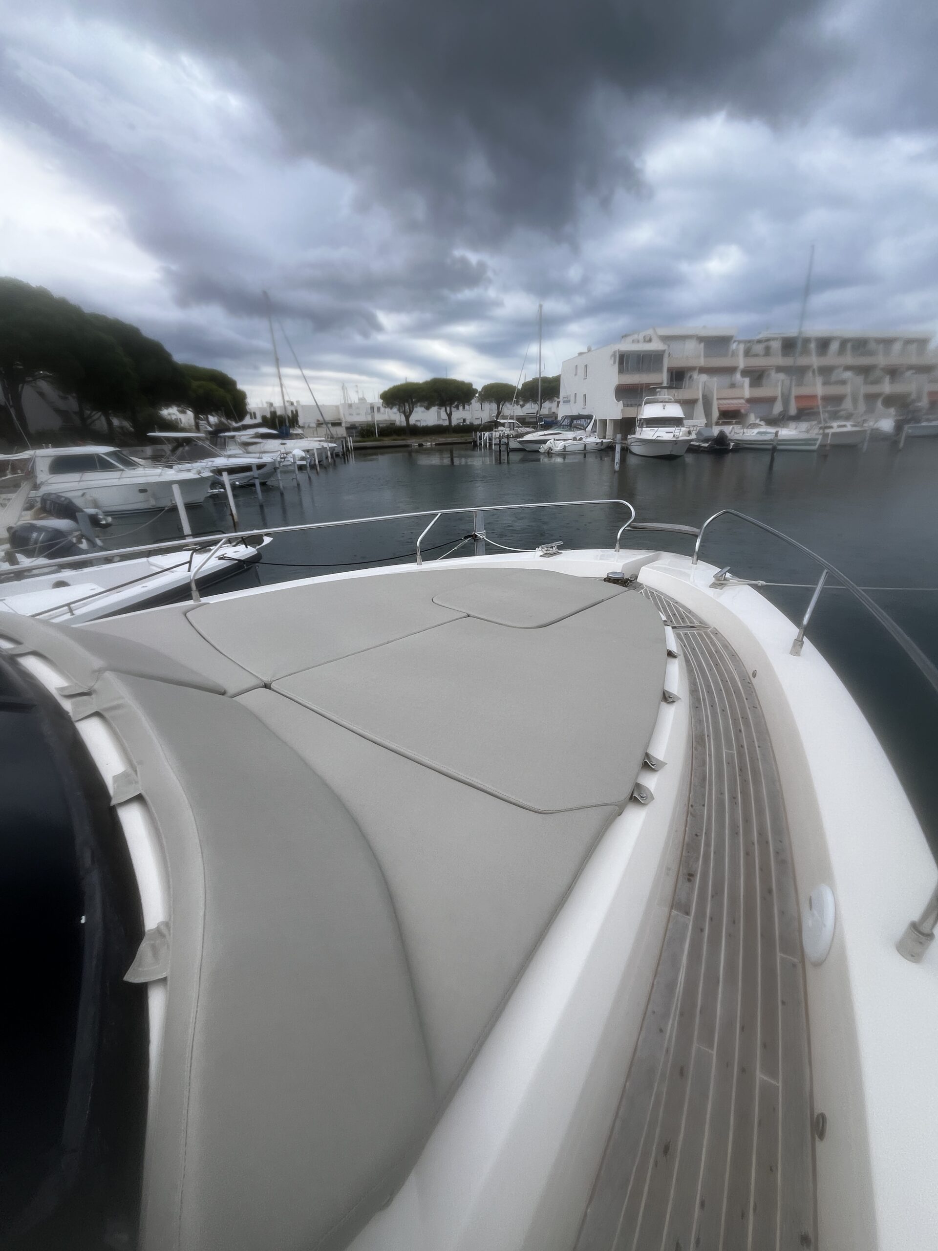 sellerie marine grau du roi